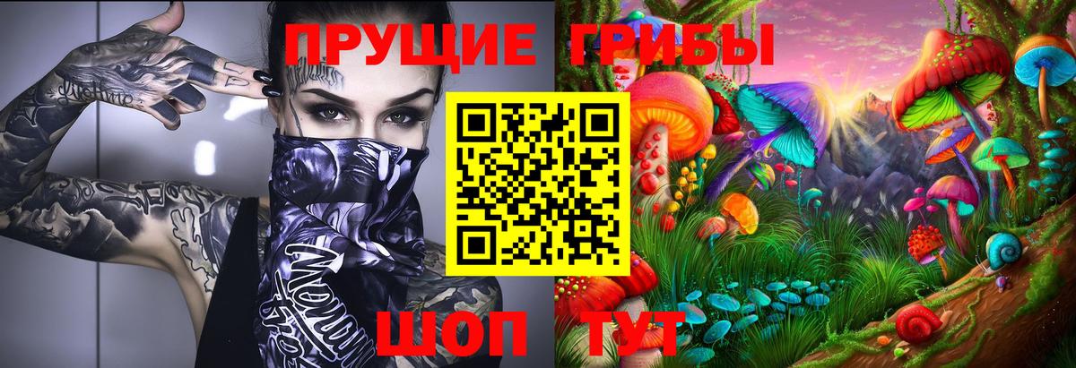 Галлюциногенные грибы Psilocybine cubensis Слободской